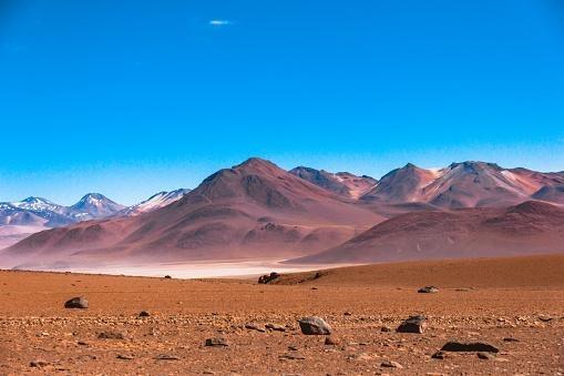 Cientistas encontram fragmentos de DNA desconhecido no Atacama