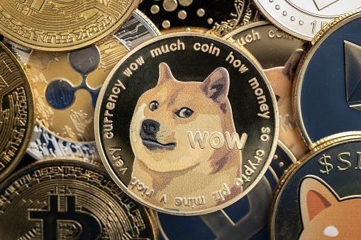 Insider Trading: Elon Musk é acusado de manipular o preço do Dogecoin